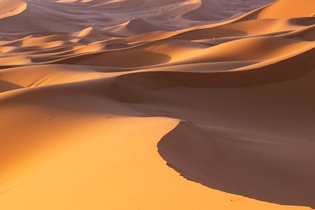https://static.ws.126.net/163/frontend/images/2022/empty.png
